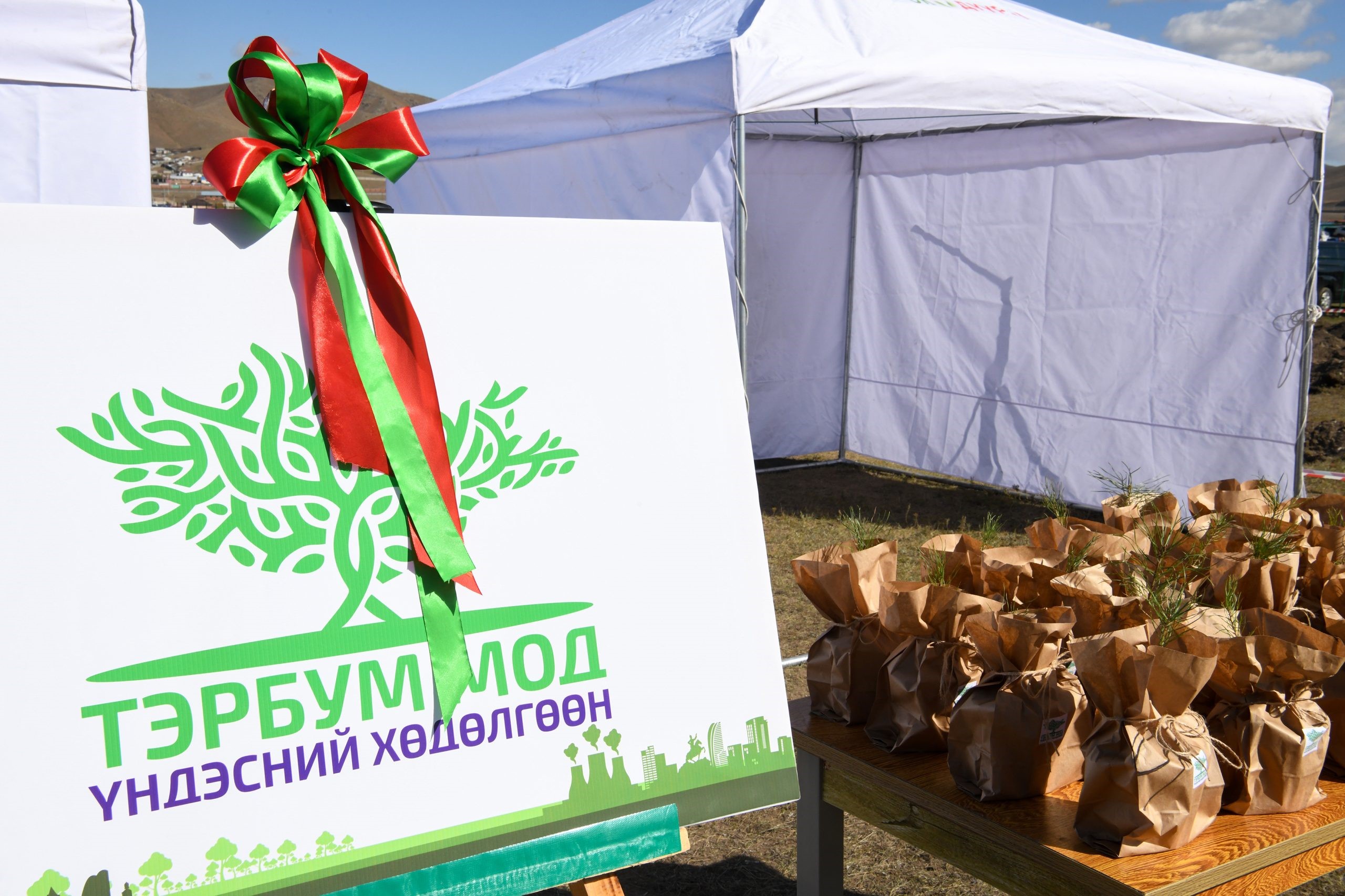 БАЙР СУУРЬ: Тэрбум мод хөдөлгөөний хүрээнд уулнаас мод сугалж ...